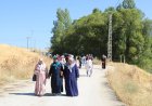 Dilkaya’da Doğa Yürüyüşü: 60 Yaş Üstü Vatandaşlar Van Gölü Kıyısında Buluştu